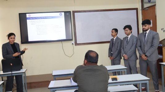 Minor Project as part of the final external defense(BEI/BCT).