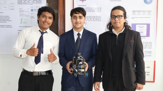 Minor Project as part of the final external defense(BEI/BCT).